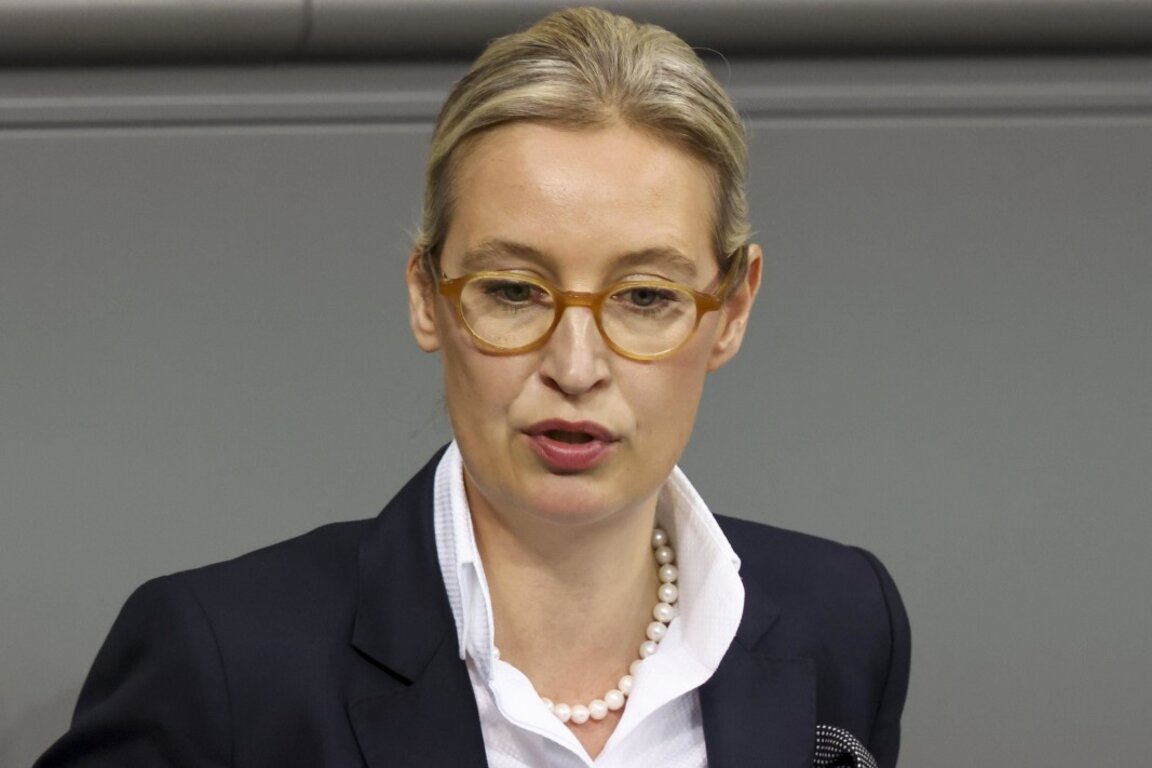 Съпредседателката на "Алтернатива за Германия" Алис Вайдел