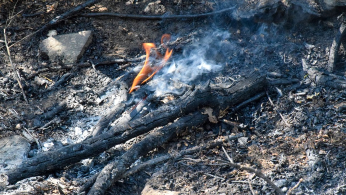 Угасен е пожарът между кюстендилските села Катрище и Горна Гращица