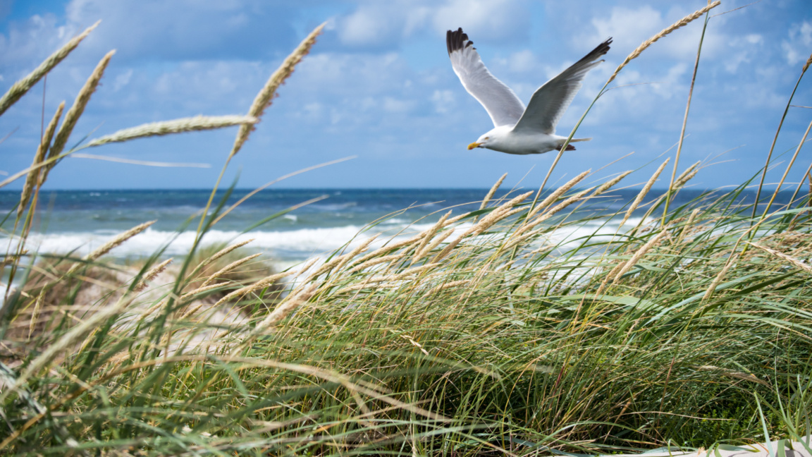Sommer im Anmarsch...