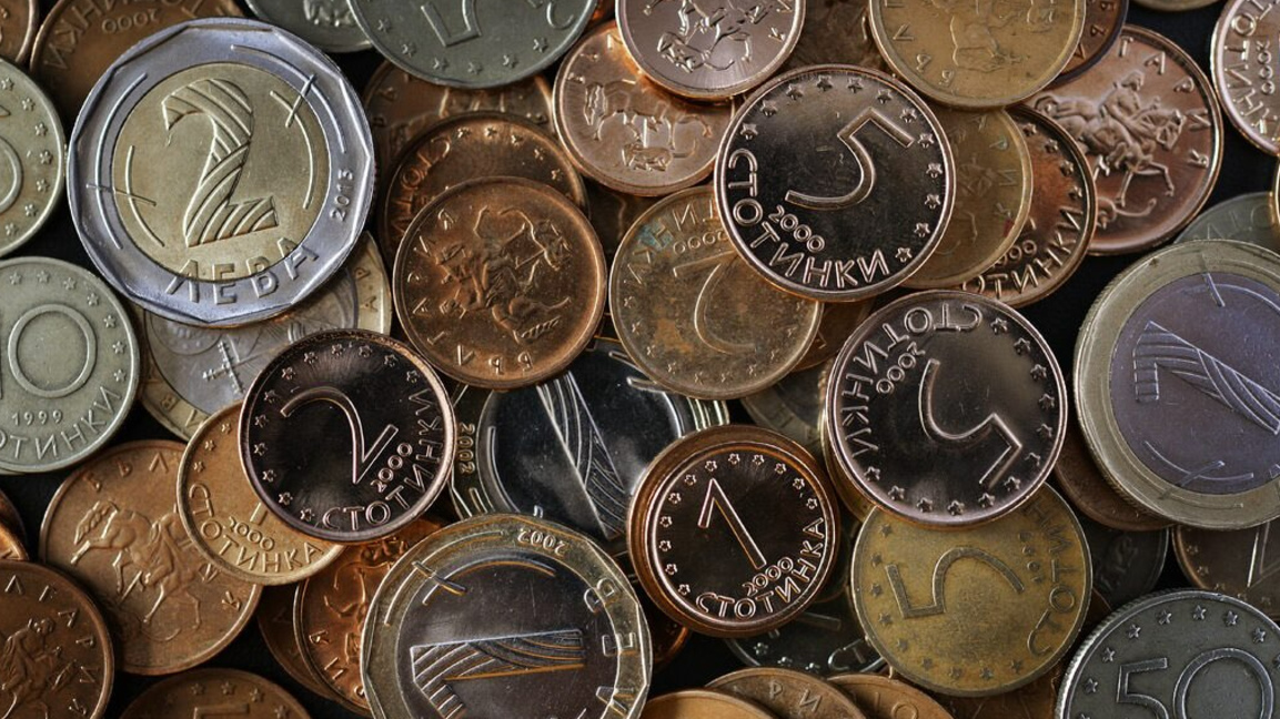 Дарете събраните стотинки в помощ на бездомни животни