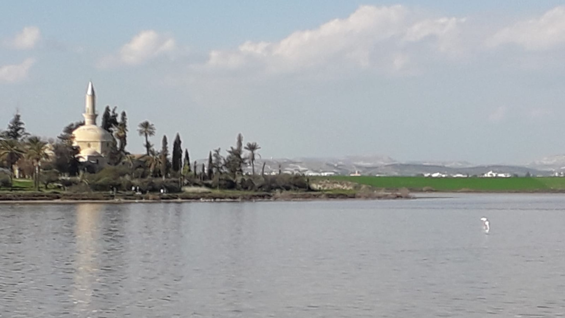 Образователен парк ще има край Соленото езеро в Кипър