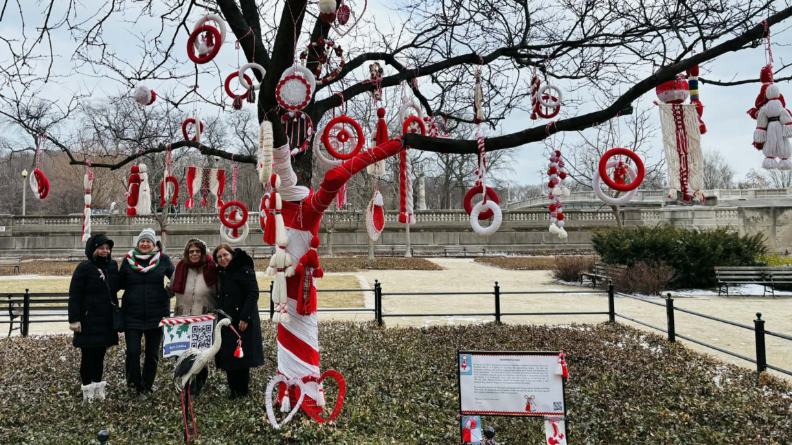 В центъра на Чикаго грейна дърво‑мартени...
