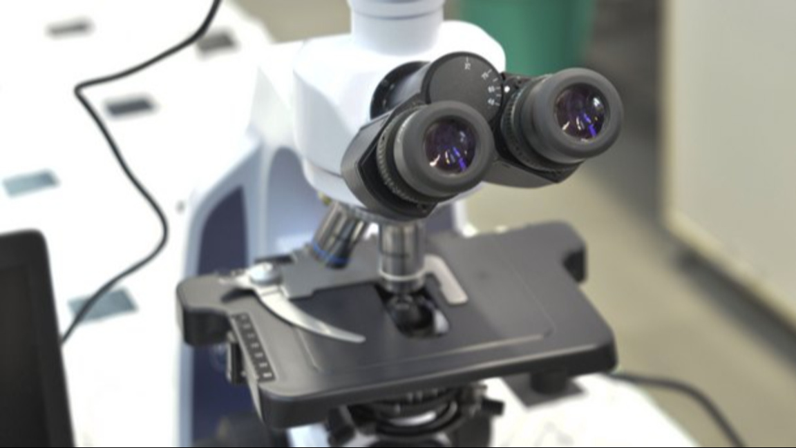 Учени създадоха изкуствена роговица от р...