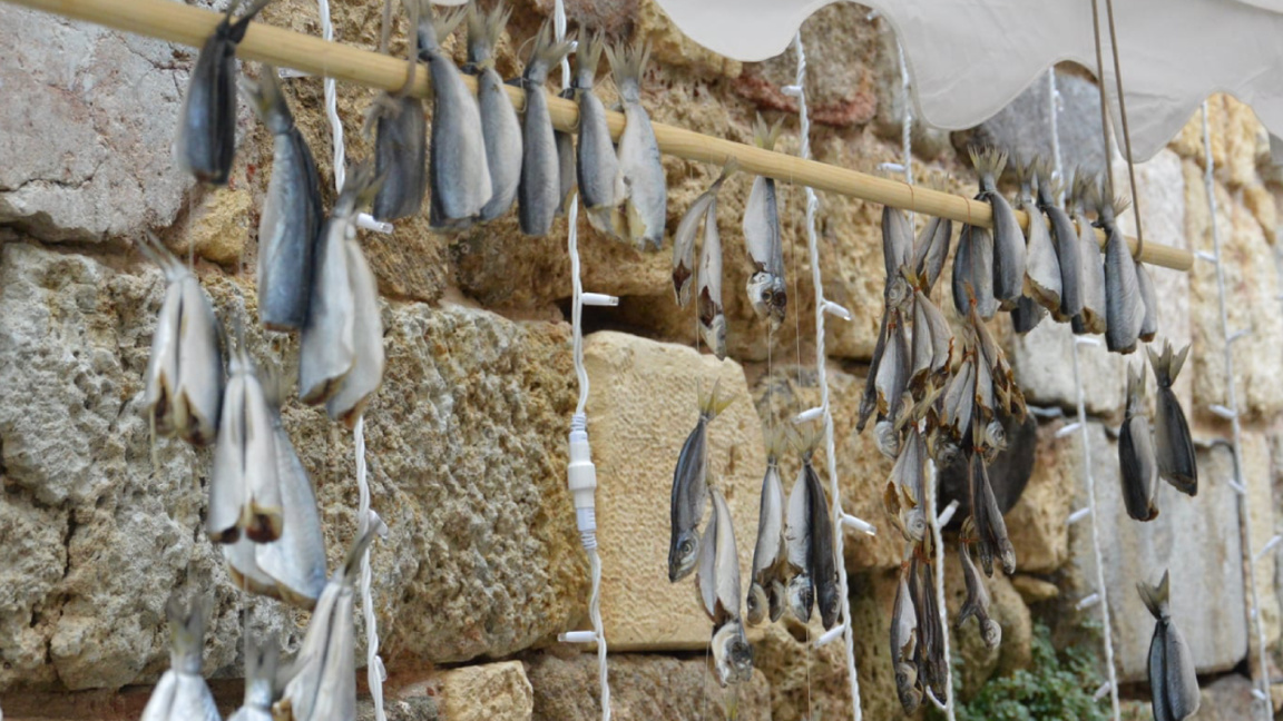 Salted Fish Festival – Culinary traditions and stars in Sozopol