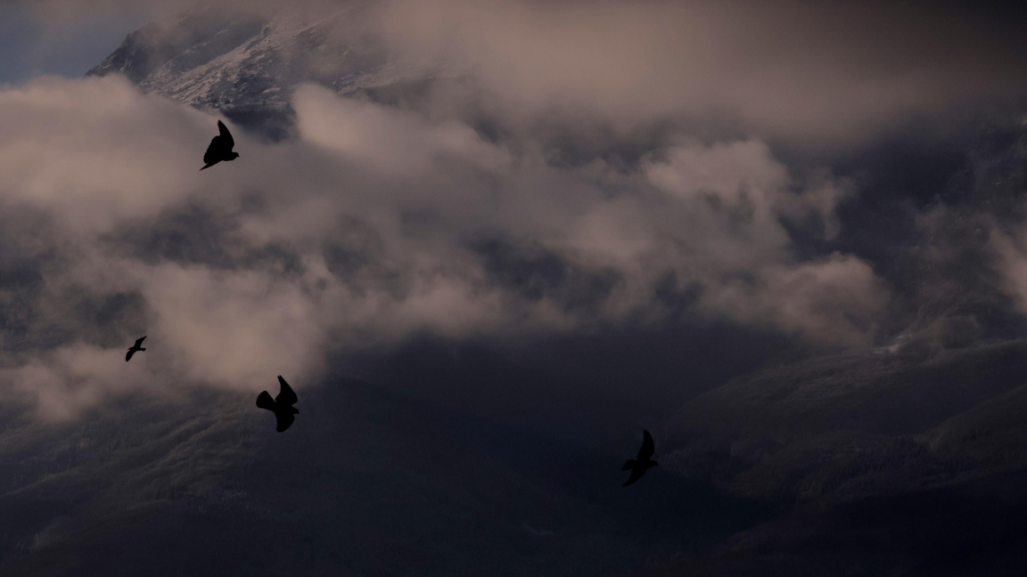 Оранжев код за силен вятър за 12 области в Западна и Централна България