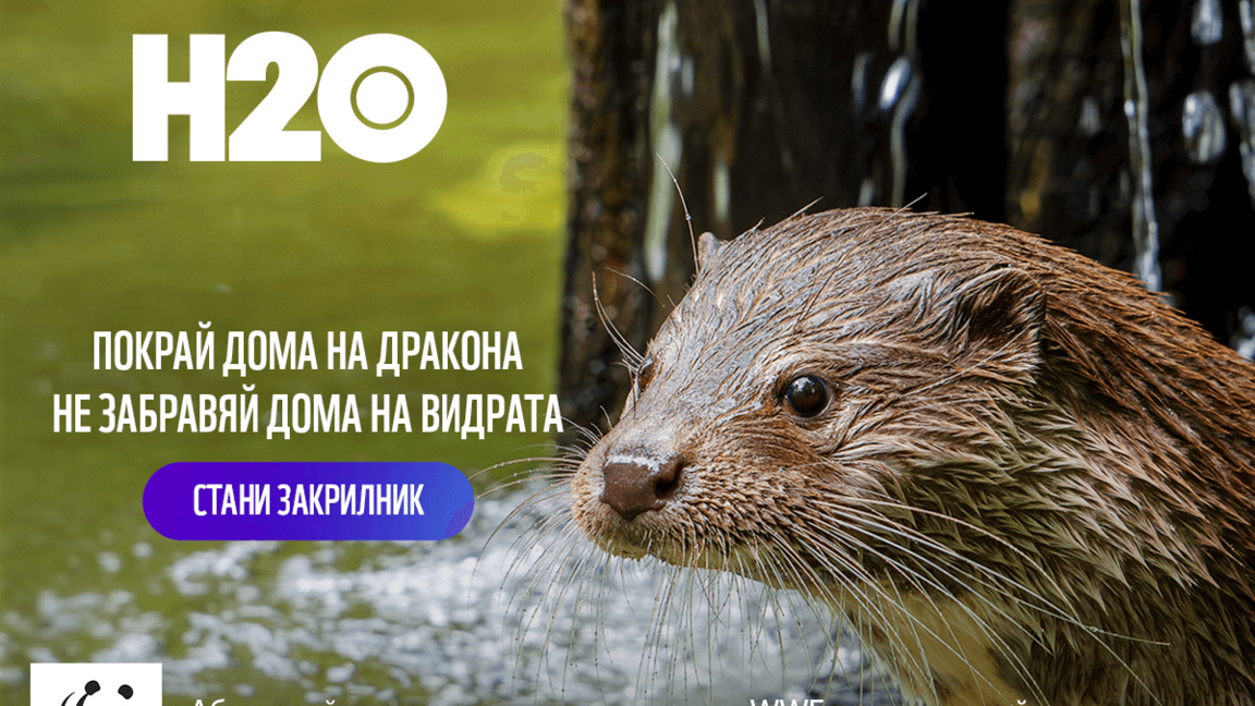 Стани закрилник на видра за Коледа