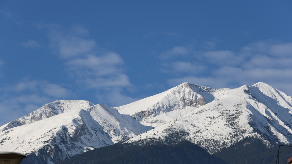 Има опасност от падащи дървета в горския пояс на планините, вятърът е бурен