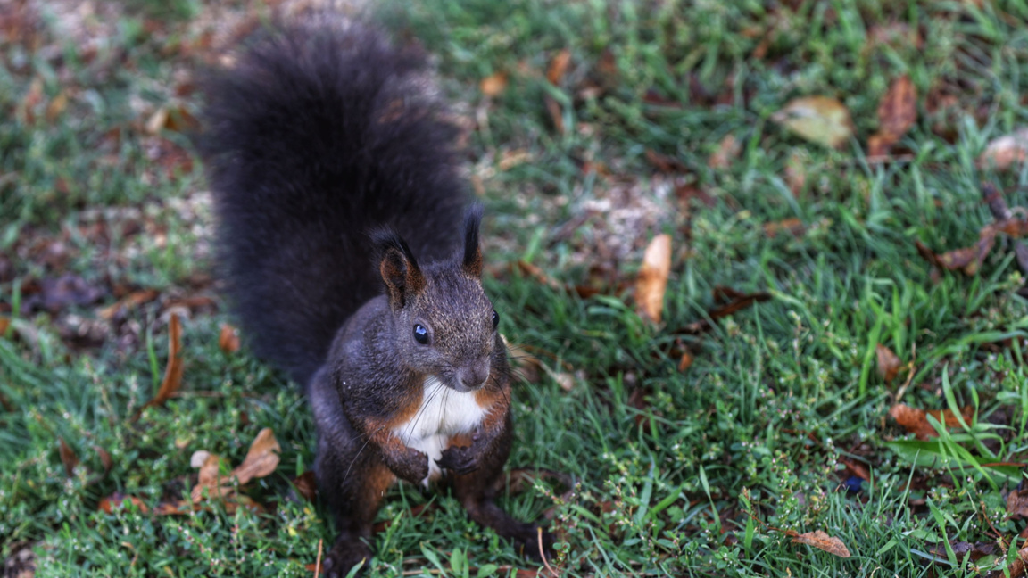 Времето през новата седмица