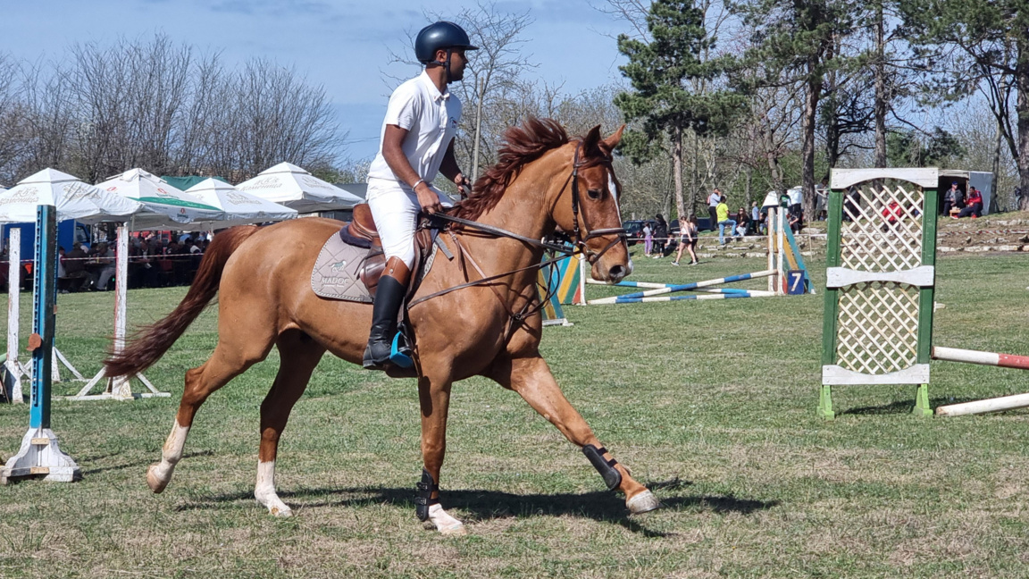 Dashamirës të sportit të hipizmit mblidh...