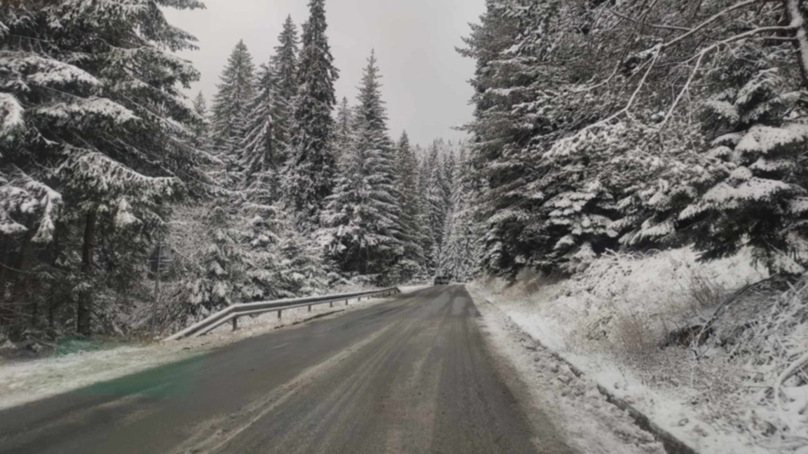 Близо 500 машини обработват републиканск...