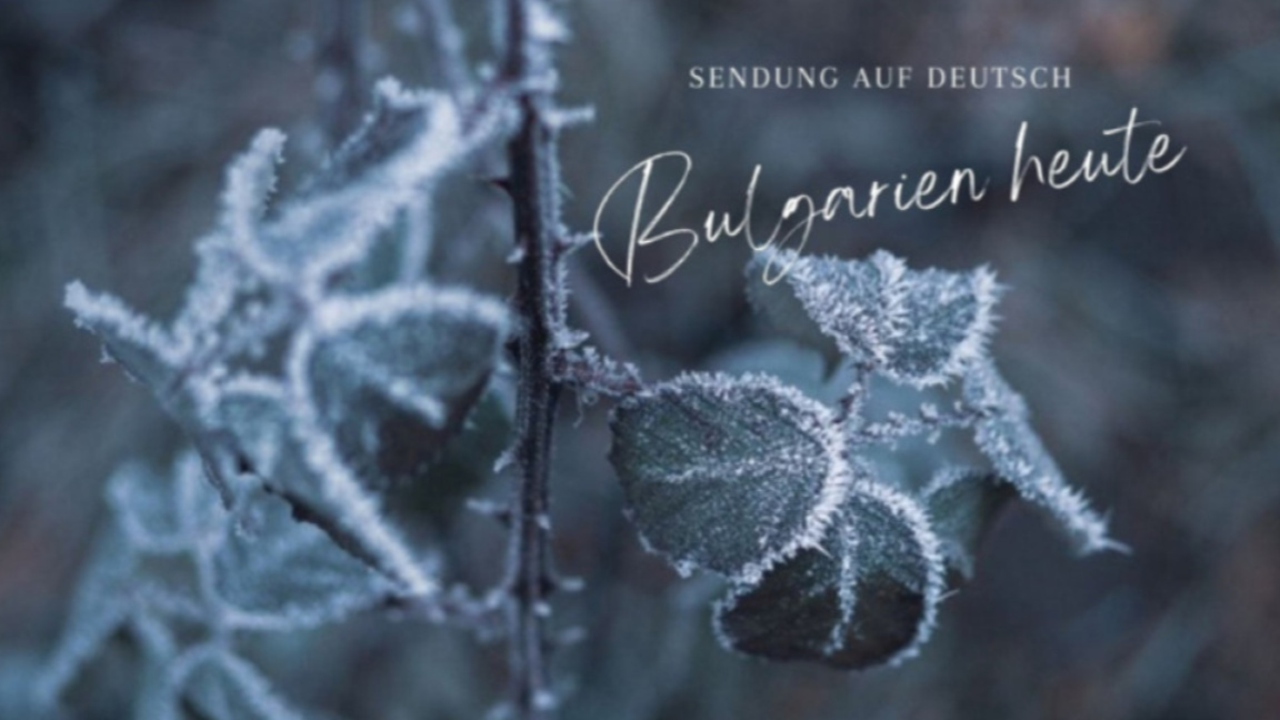 Bulgarien heute – 11. Februar 2026...