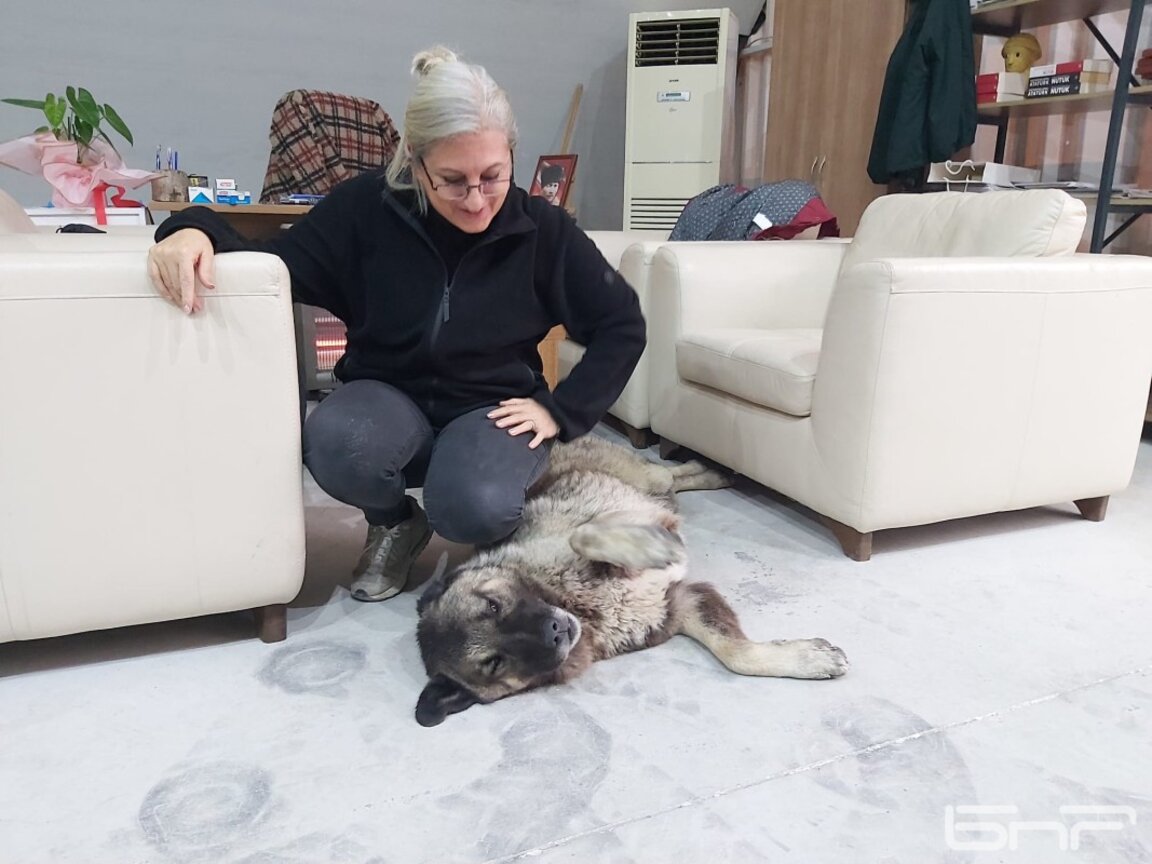 Емине Атмаджа с едно от кучетата