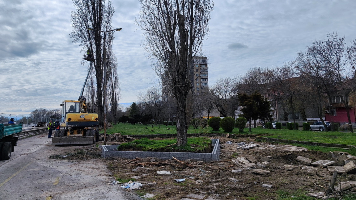 Омбудсманът разпореди проверка за изсича...