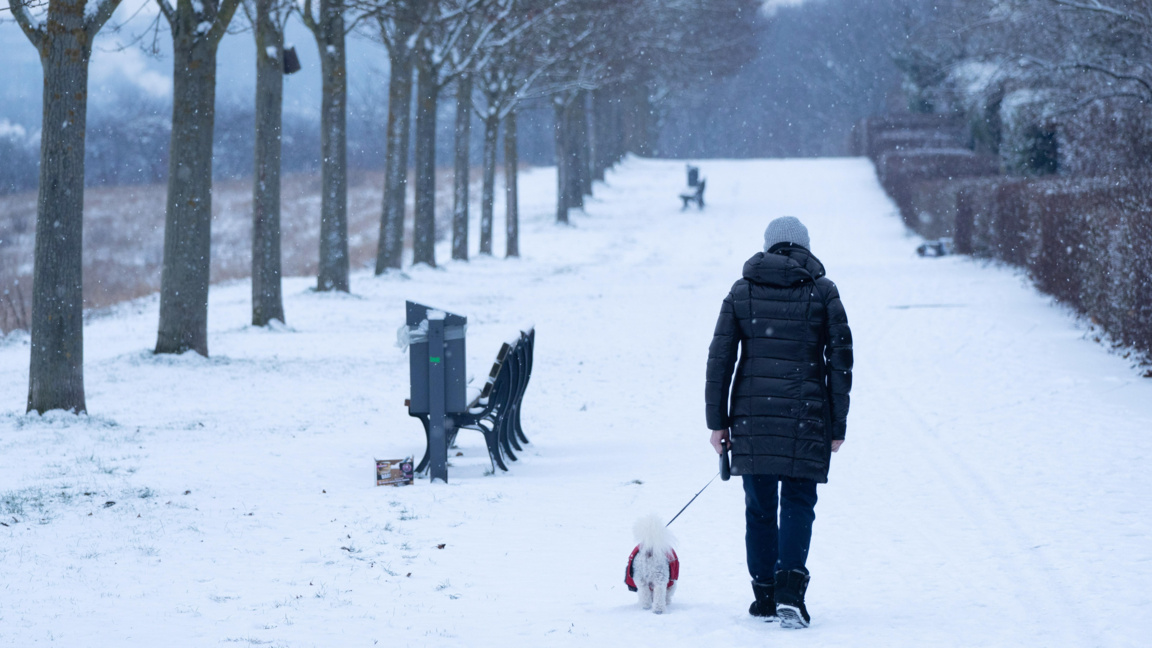 Франкфурт, 6 януари 2026 г.