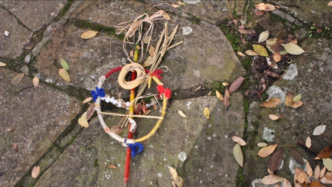 Survachka, la varita mágica de los búlga...