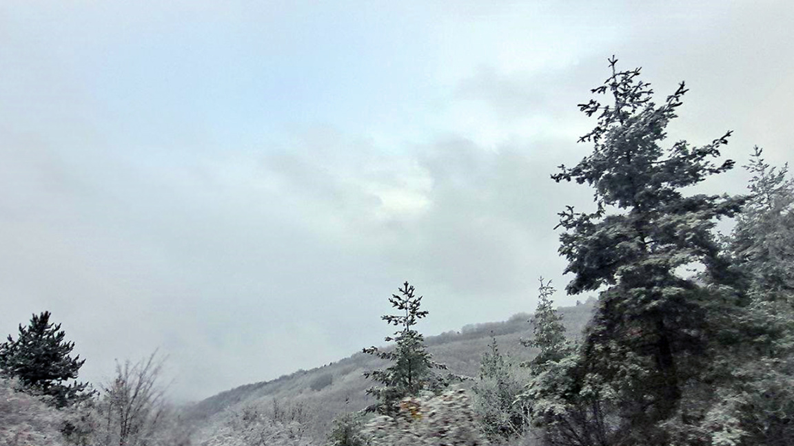 След мразовитата утрин през деня студени...