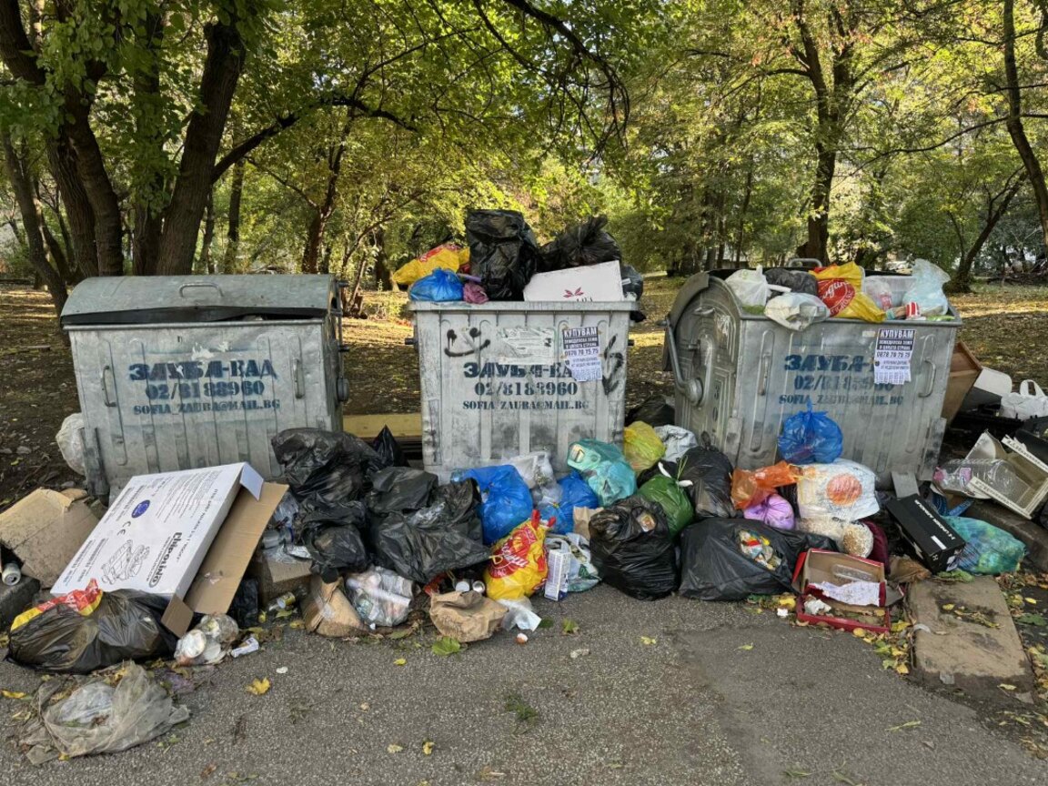 Контейнери за боклук в кв. "Хиподрума"