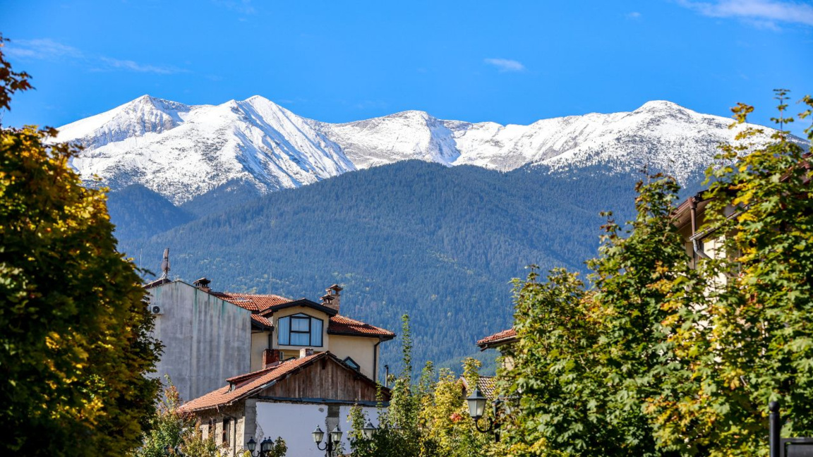 Parashikimi i motit për 4 marsin...