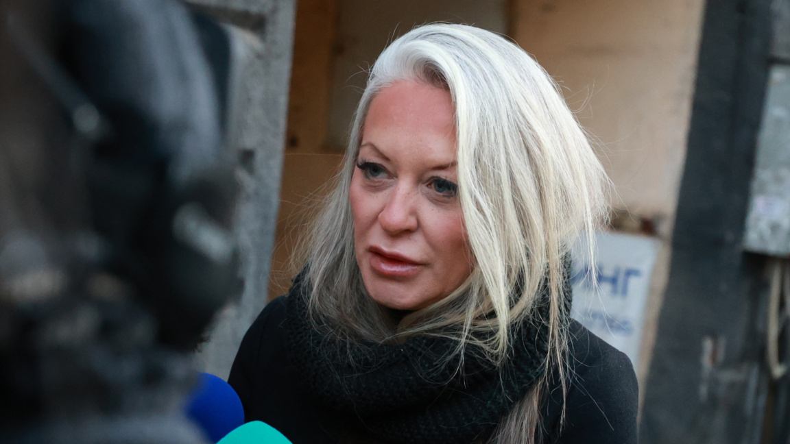 Анна Митова, НАП