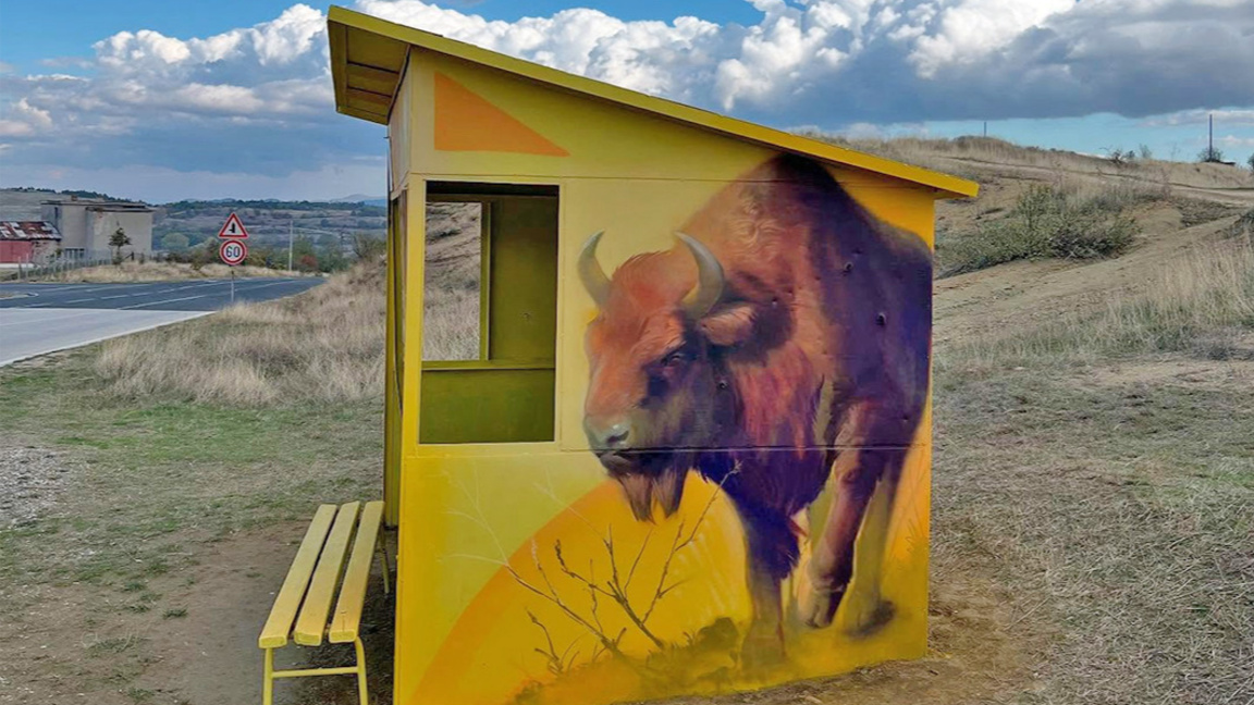 Pictures at bus stops remind us not to lose our connection with nature