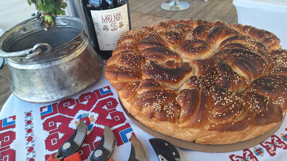 Започнаха Дните на отворени врати на винарските изби по поречието на Струма