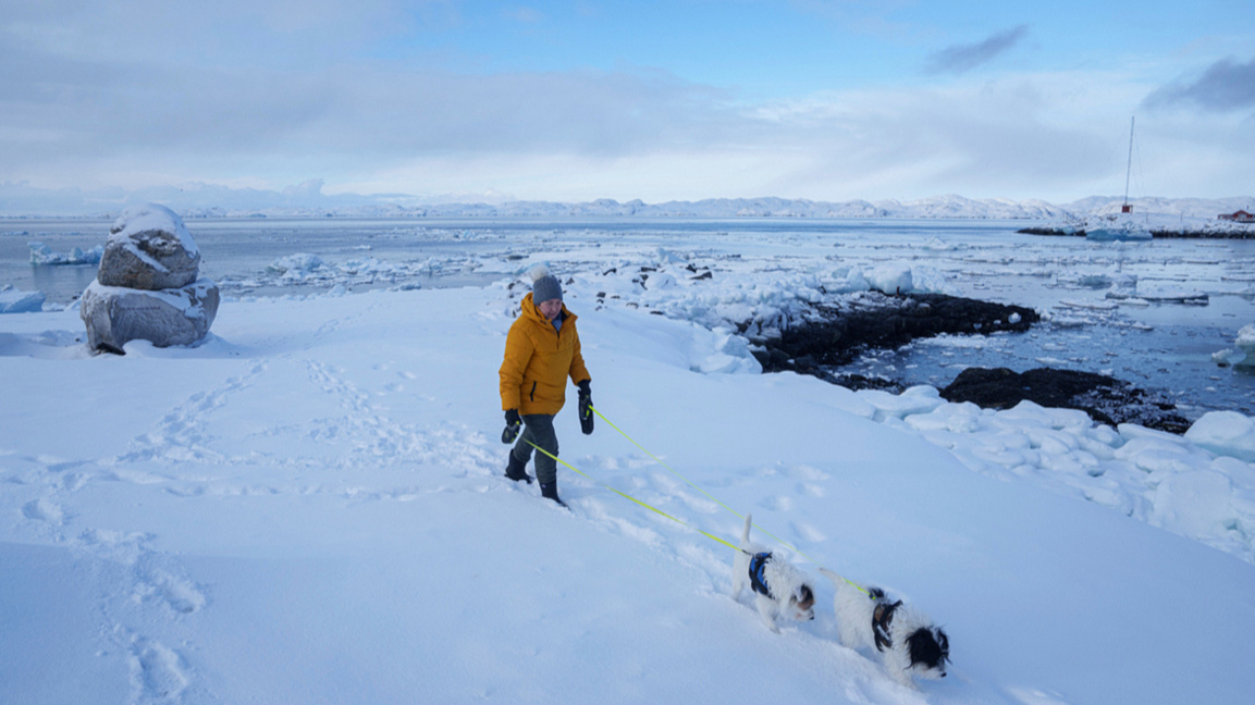 Гренландия