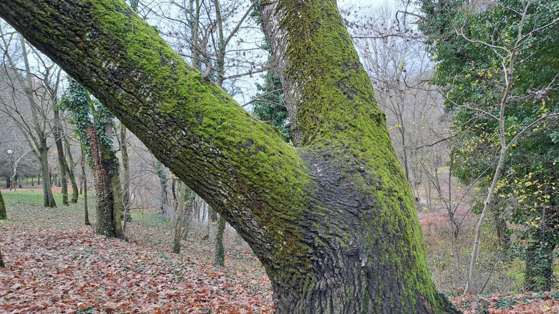 Времето: Повече слънце и температурите между 7 и 12 градуса