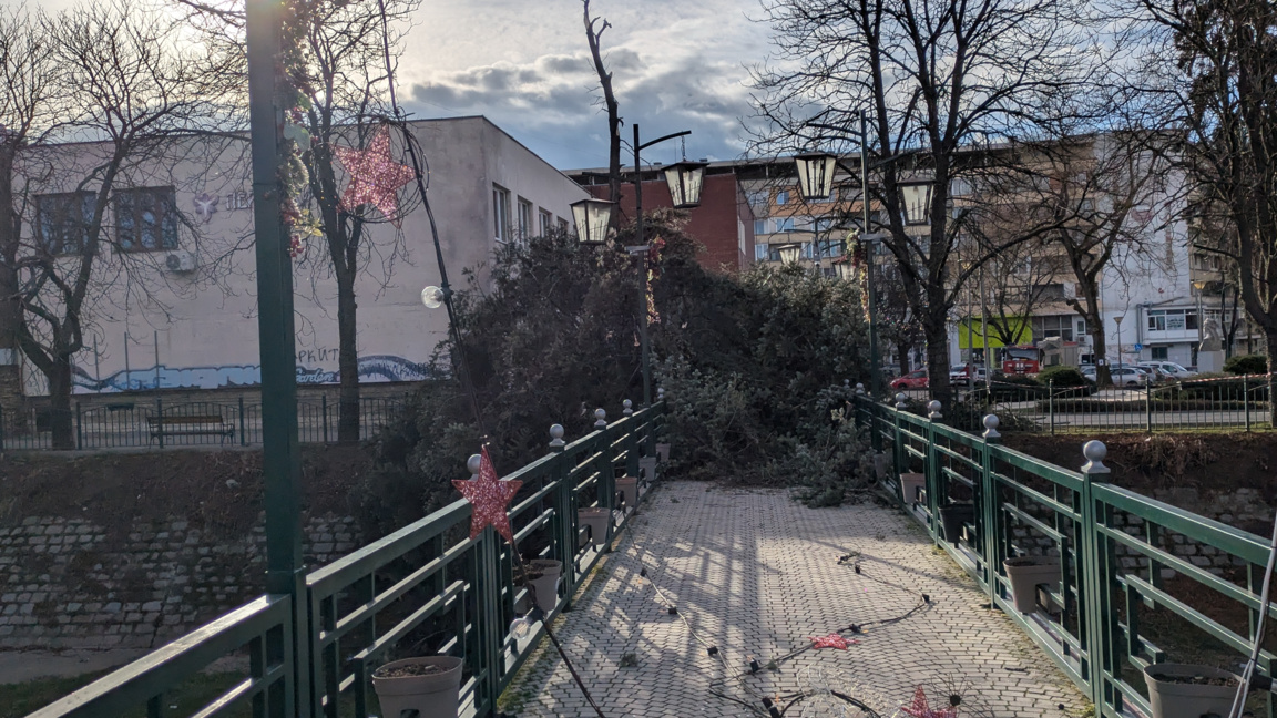Силният вятър събори дърво в центъра на Перник