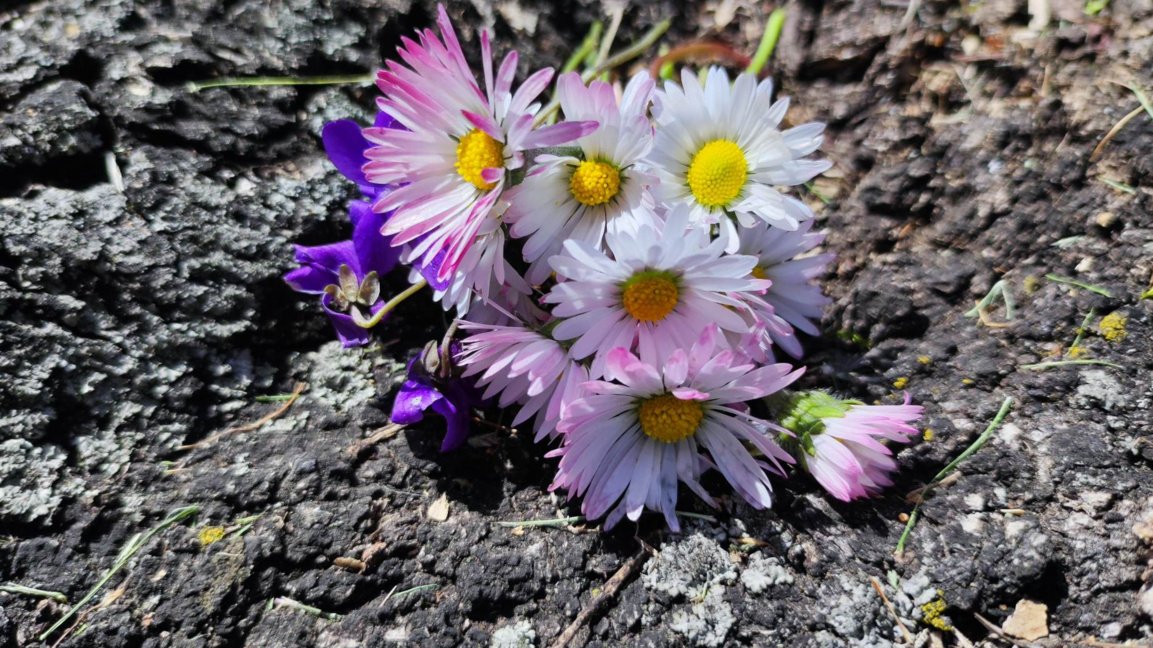 „Сюжети от деня“ с Мария Благоева...