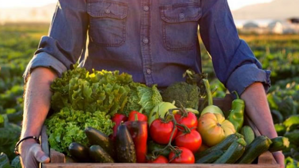 Държавен фонд „Земеделие“ изплати с месе...