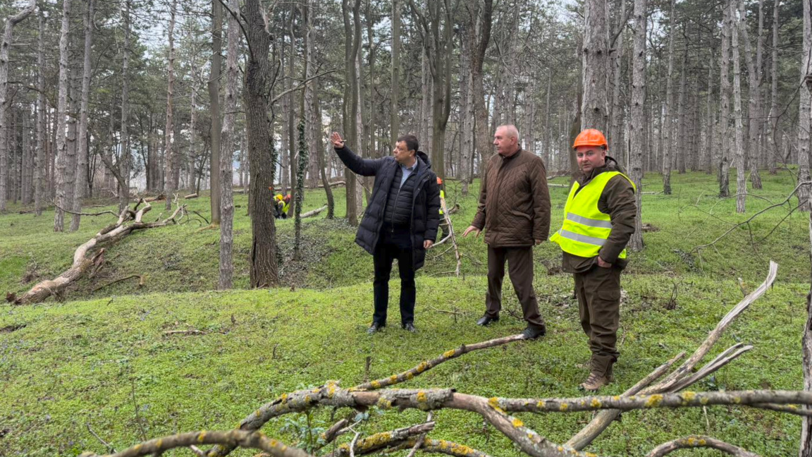 Санитарна сеч в района на крепостта "Мед...