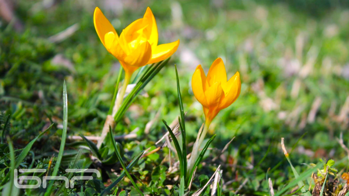 НИМХ: От -5 до 25 градуса ни очакват пре...