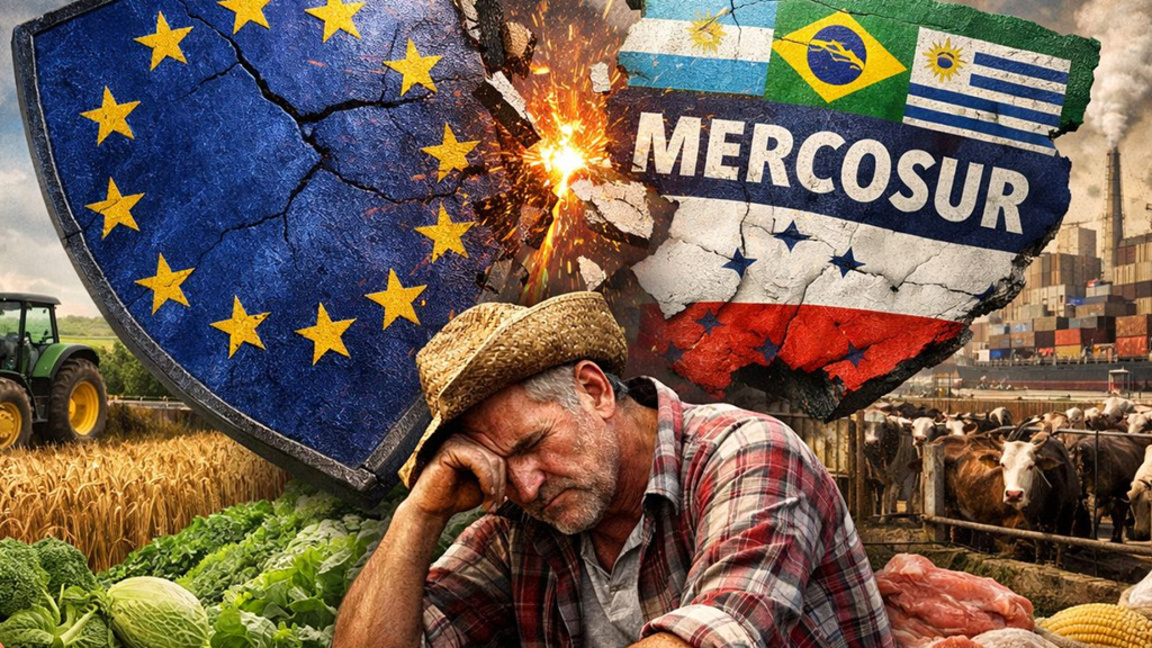 Струковна комора: Споразум Меркосур зада...