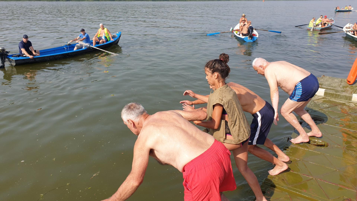 68. Massenschwimmen in der Donau...
