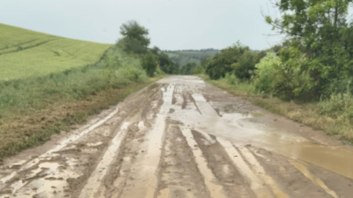 Частично бедствено положение в Орешене...